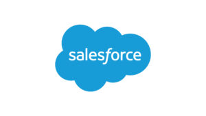 Lead Salesforce Developer Telecommute 